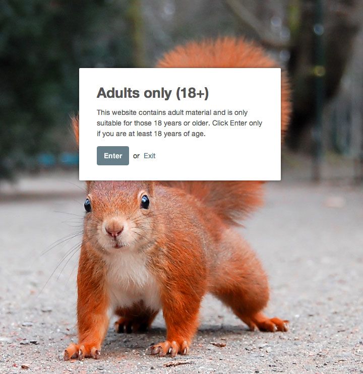 Add Age Verification To Shopify Store