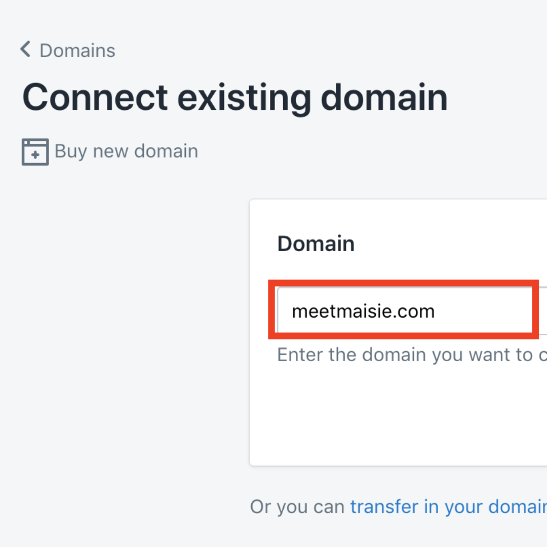 Shopify Domain Setup